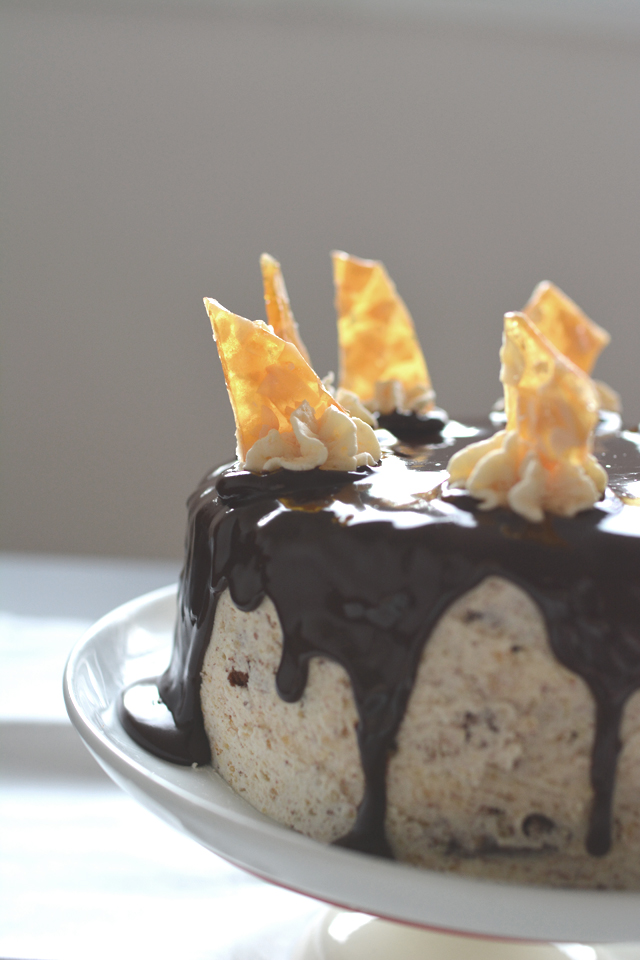 an image of a chocolate praline cake, with only half of it pictured, drizzled with ganache and topped with buttercream and star-shaped piping.