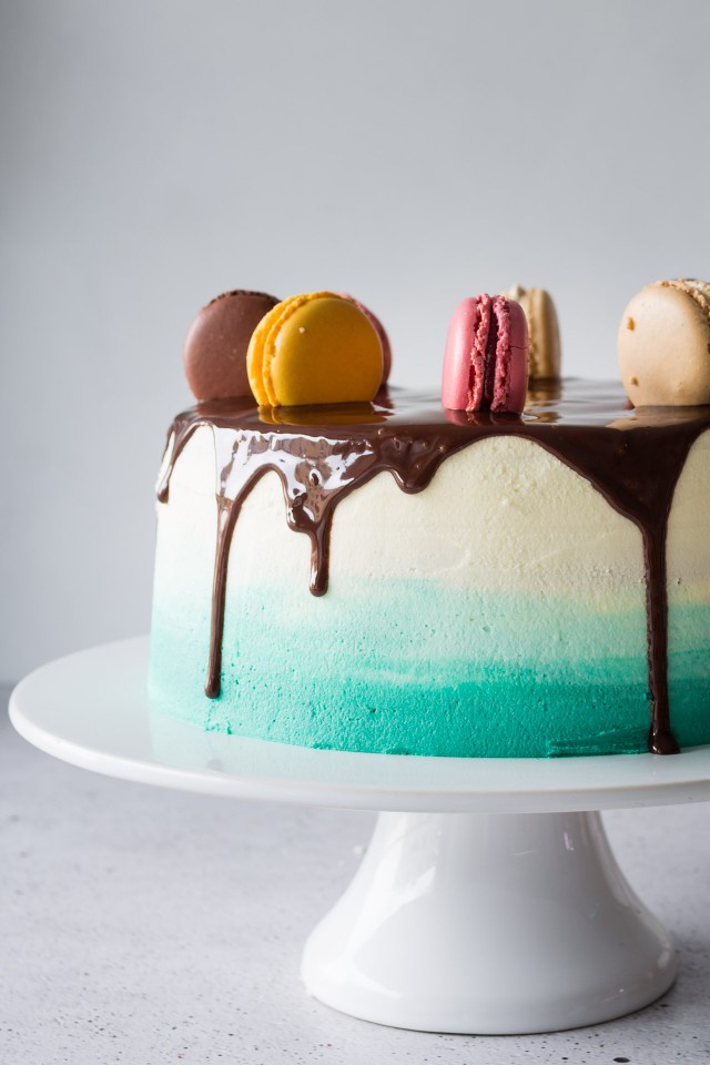 close up image of one whole vanilla ombre cake in a cake tray with colorful macarons on top